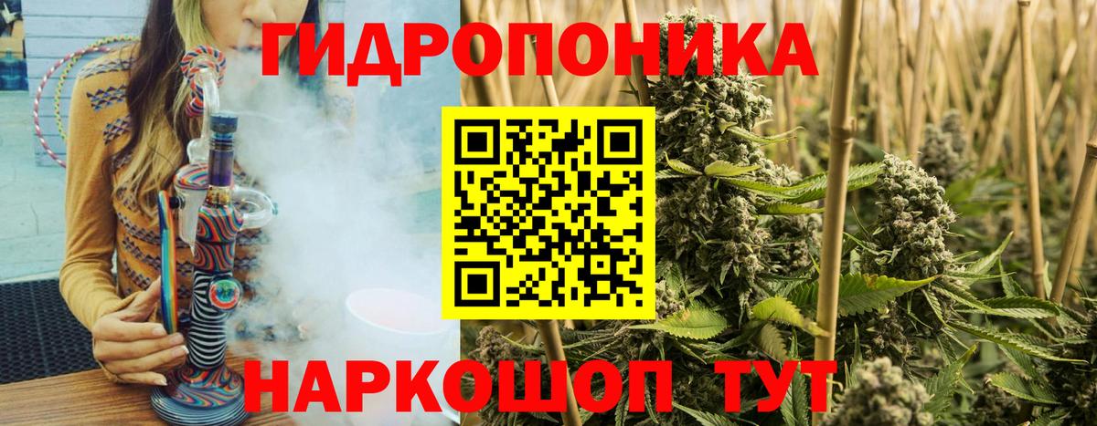 Бошки Шишки White Widow  Бошки марихуана ГИДРОПОН  Вход с VPN  Марихуана SATIVA & INDICA  Карталы 